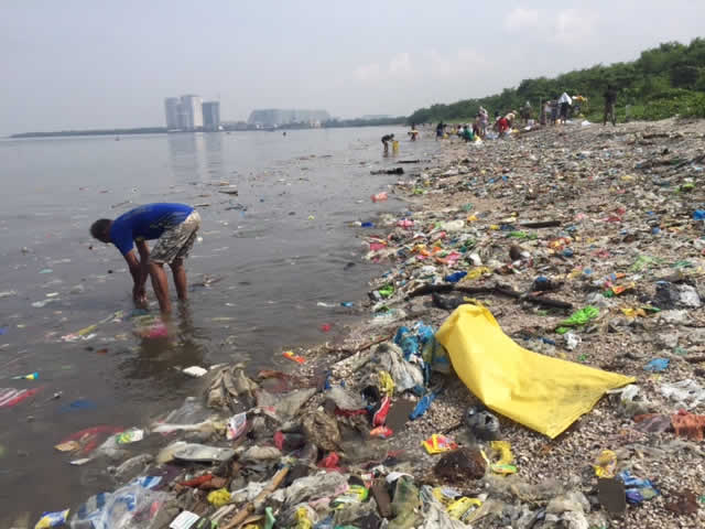 Volunteers cleaning up trash along Manila Bay. Photo: Bombona78 - wikimedia.org